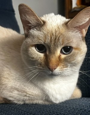 Photo of Elsa