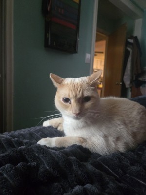 Photo of George