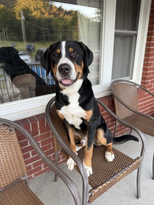 Photo of Gimli