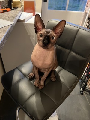 Photo of Sinister
