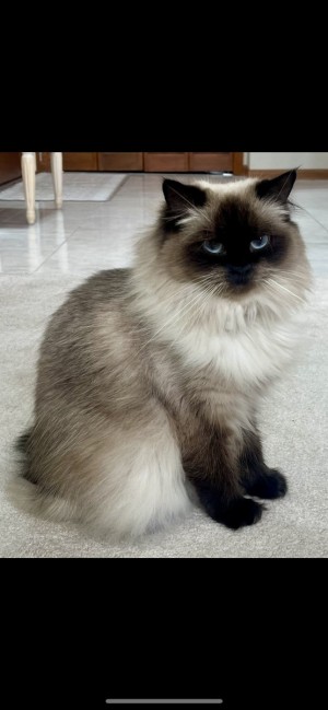 Photo of Willa