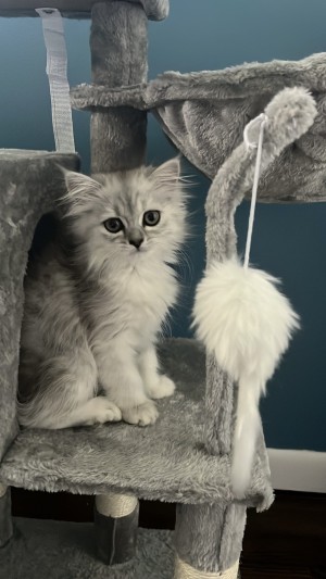 Photo of Lucy