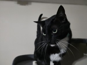 Photo of Donte