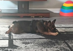 Photo of Gabby