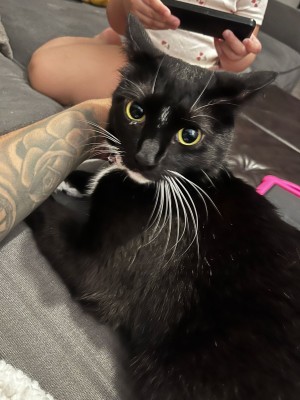 Photo of Cassie