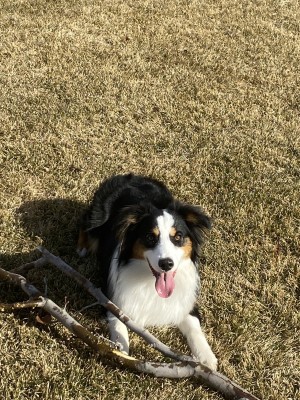 Photo of Sonny
