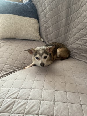 Photo of Penelope Rose
