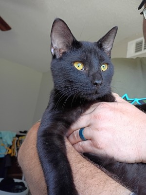 Photo of Salem