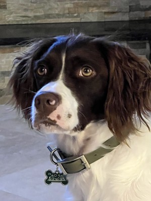Photo of Luna