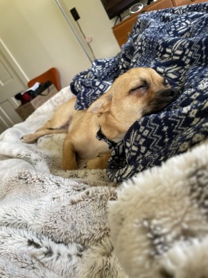 Photo of Bea
