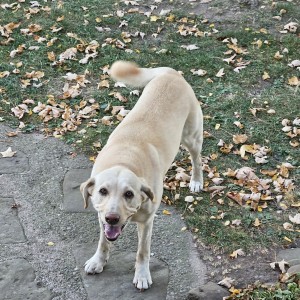Photo of Ellie