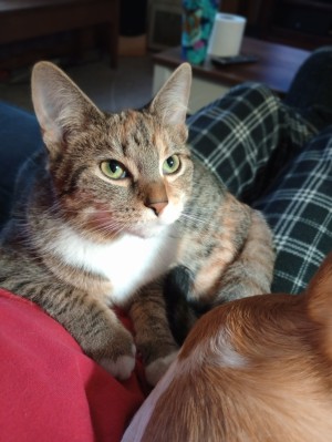 Photo of Jadzia