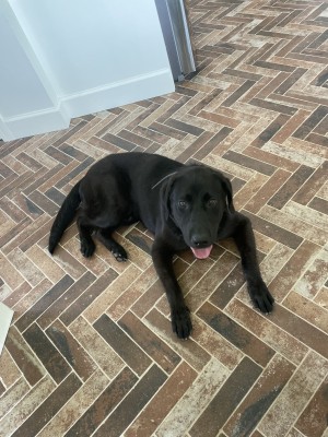 Photo of Shug