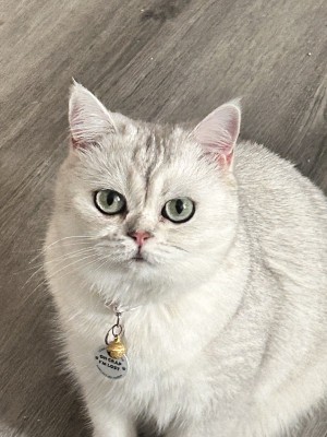 Photo of Wenda