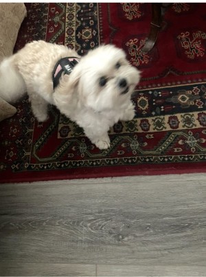 Photo of Mattie