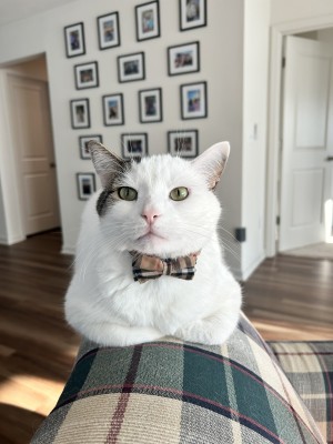 Photo of O'malley