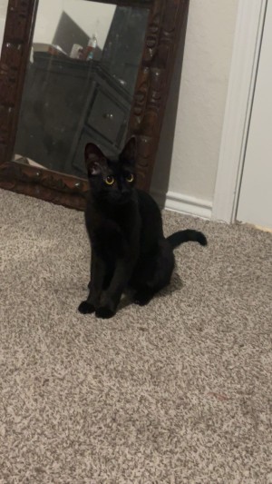 Photo of Azula
