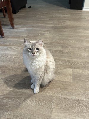 Photo of Sokka