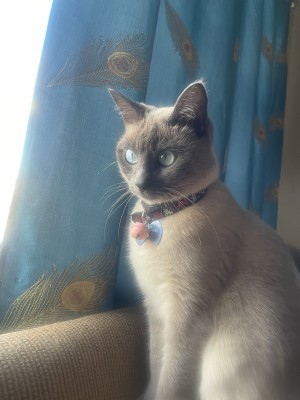 Photo of Hailey