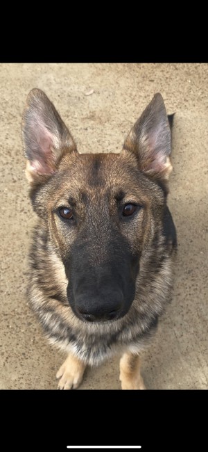 Photo of Ember