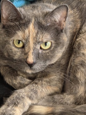 Photo of Lucy