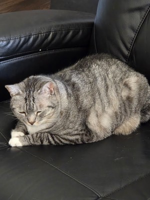 Photo of Abby