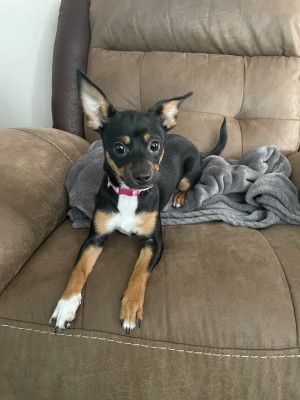 Photo of Liv