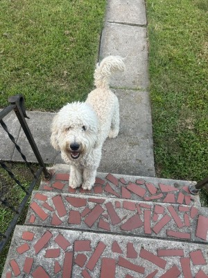 Photo of Leo