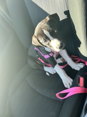 Photo of Tootie