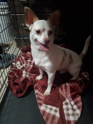 Photo of Bentley