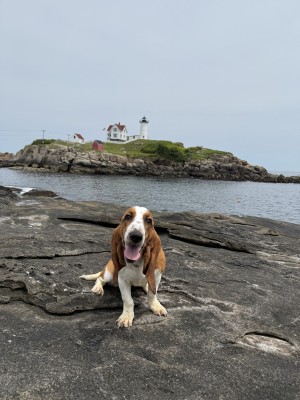 Photo of Prudence