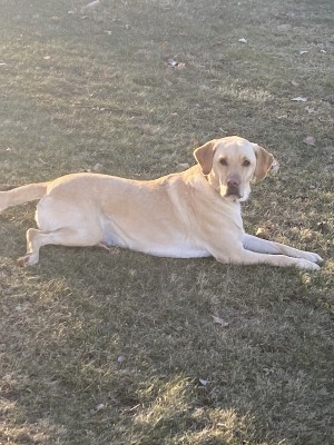Photo of Tucker