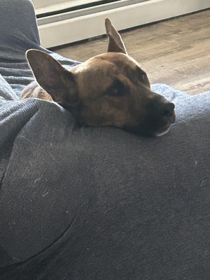 Photo of Leo