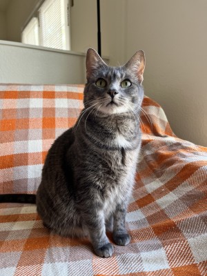 Photo of Luna