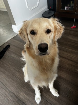 Photo of Cali