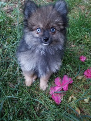 Photo of Lily And Sarabelle