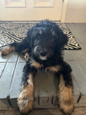 Photo of Hazel