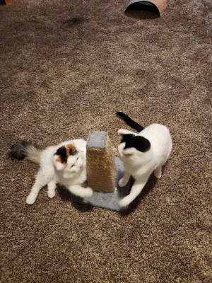 Photo of Petra/Markus