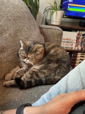 Photo of Gertrude