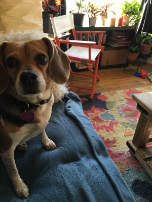 Photo of Lucy