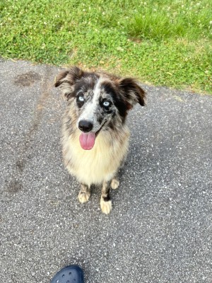 Photo of Nova