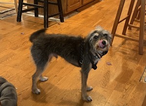 Photo of Juneau