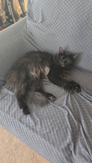 Photo of Zen