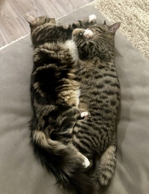 Photo of Teddy & Joseph