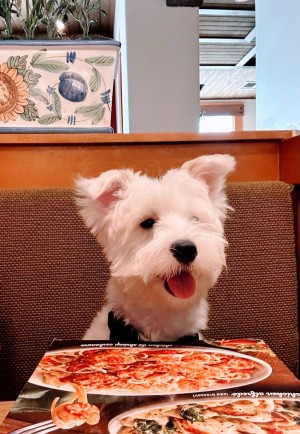 Photo of Charlie