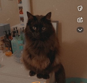 Photo of SALEM