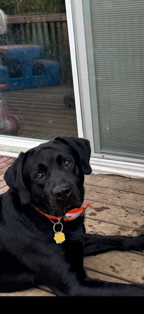 Photo of Captain