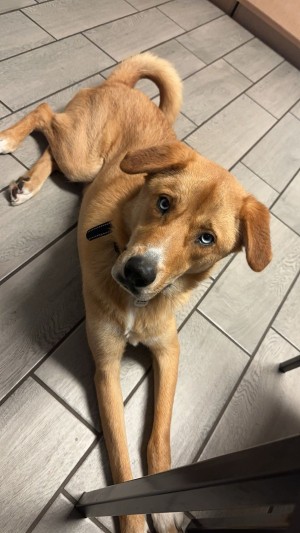 Photo of Bingo