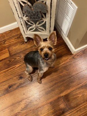 Photo of Winston