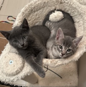 Photo of Lucy And Timothy
